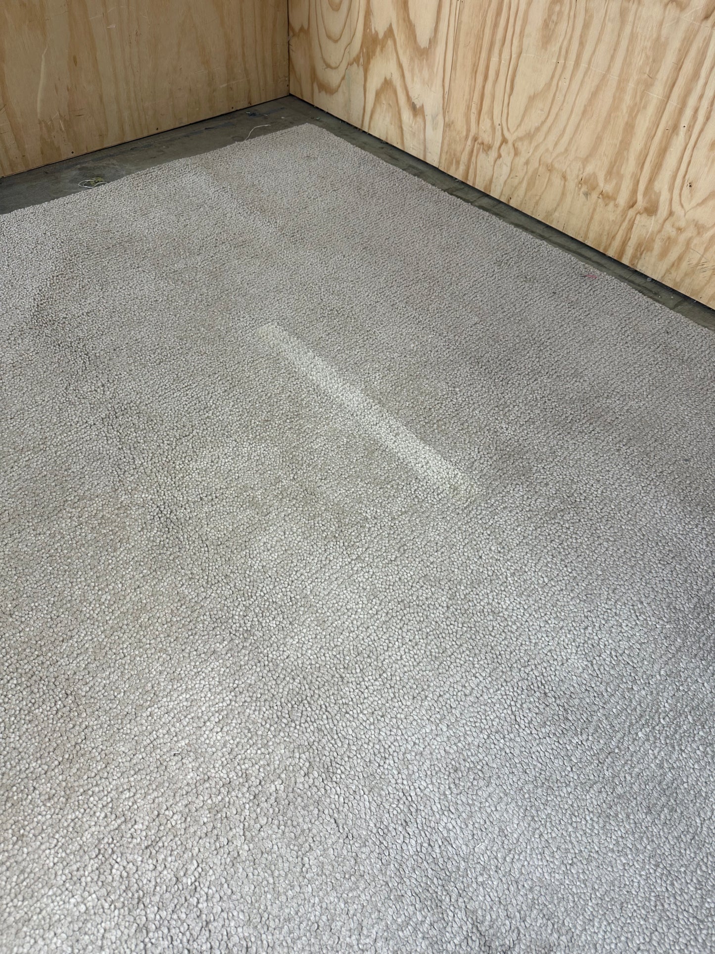 Napoleon Shag Sandstone Beige by Designer Rugs
