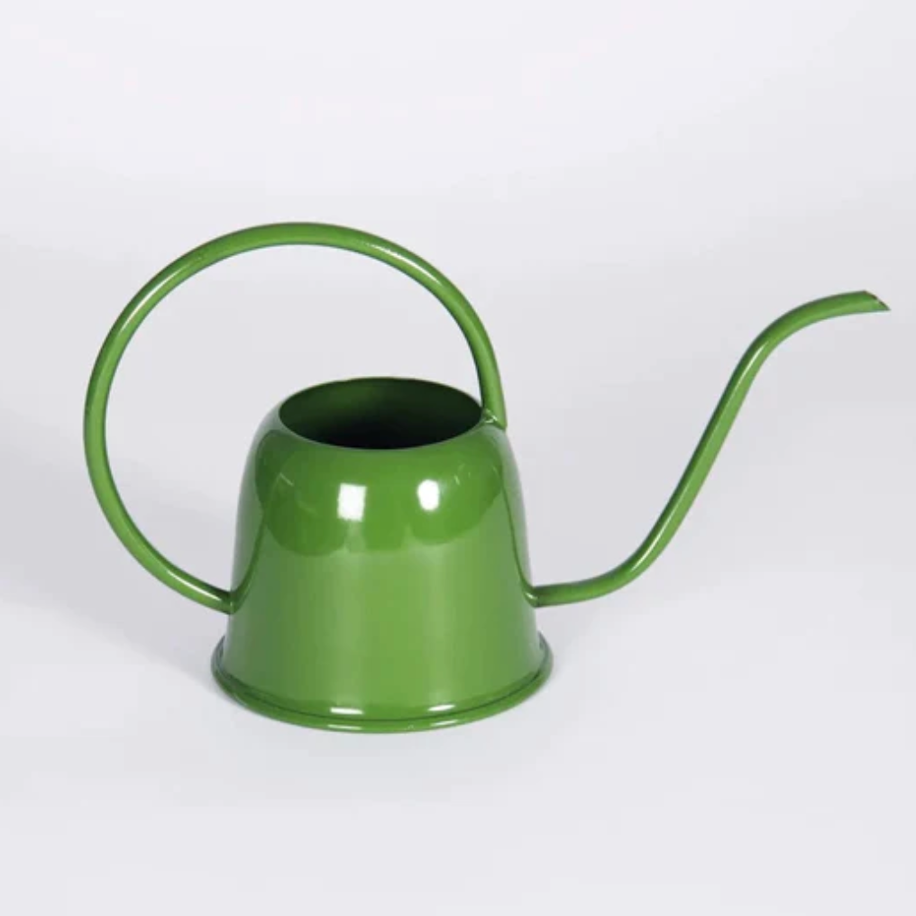 FairGo Trading Green Watering Can