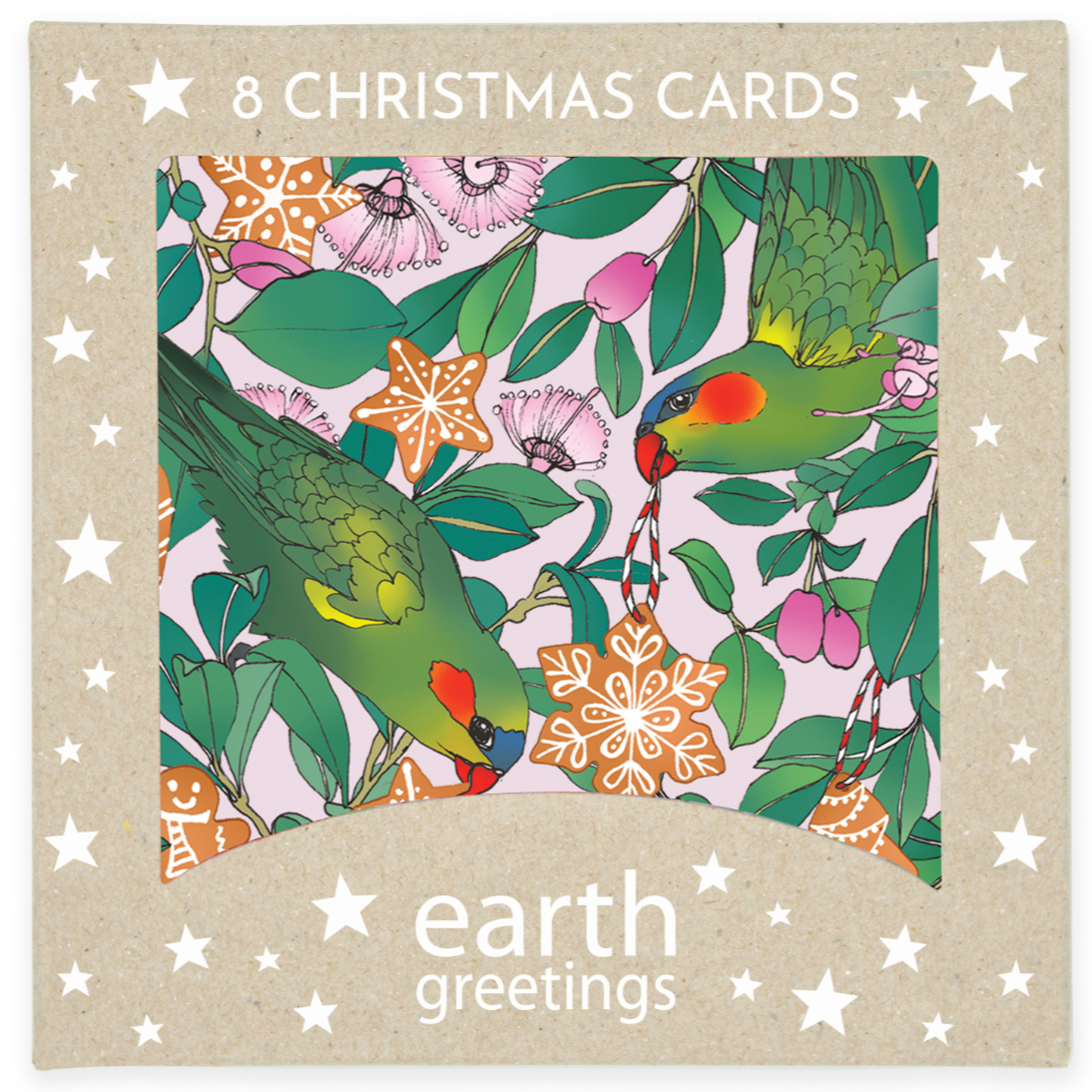 Earth Greetings Square Christmas Card Pack