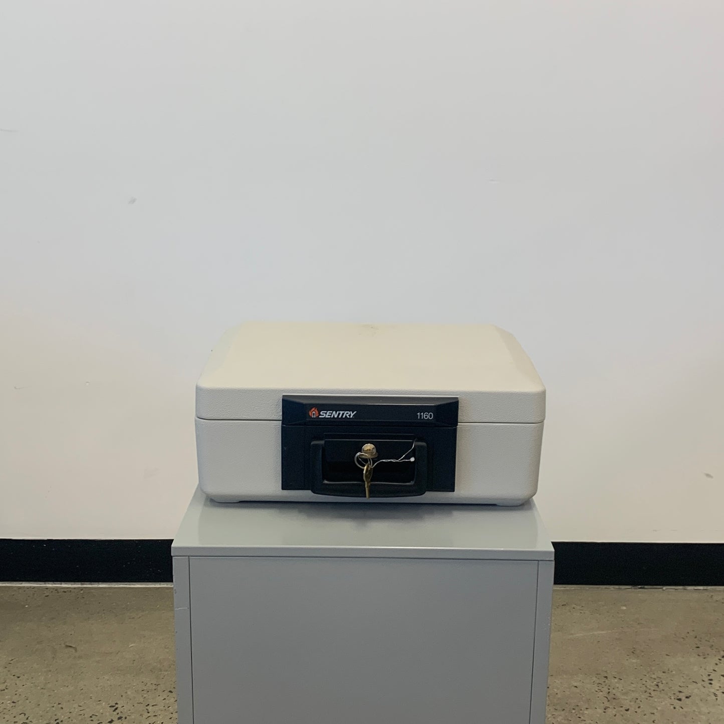 SentrySafe Fire Storage Chest