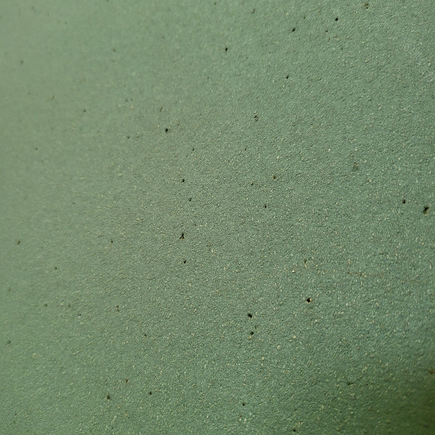 Green notice board on wheels