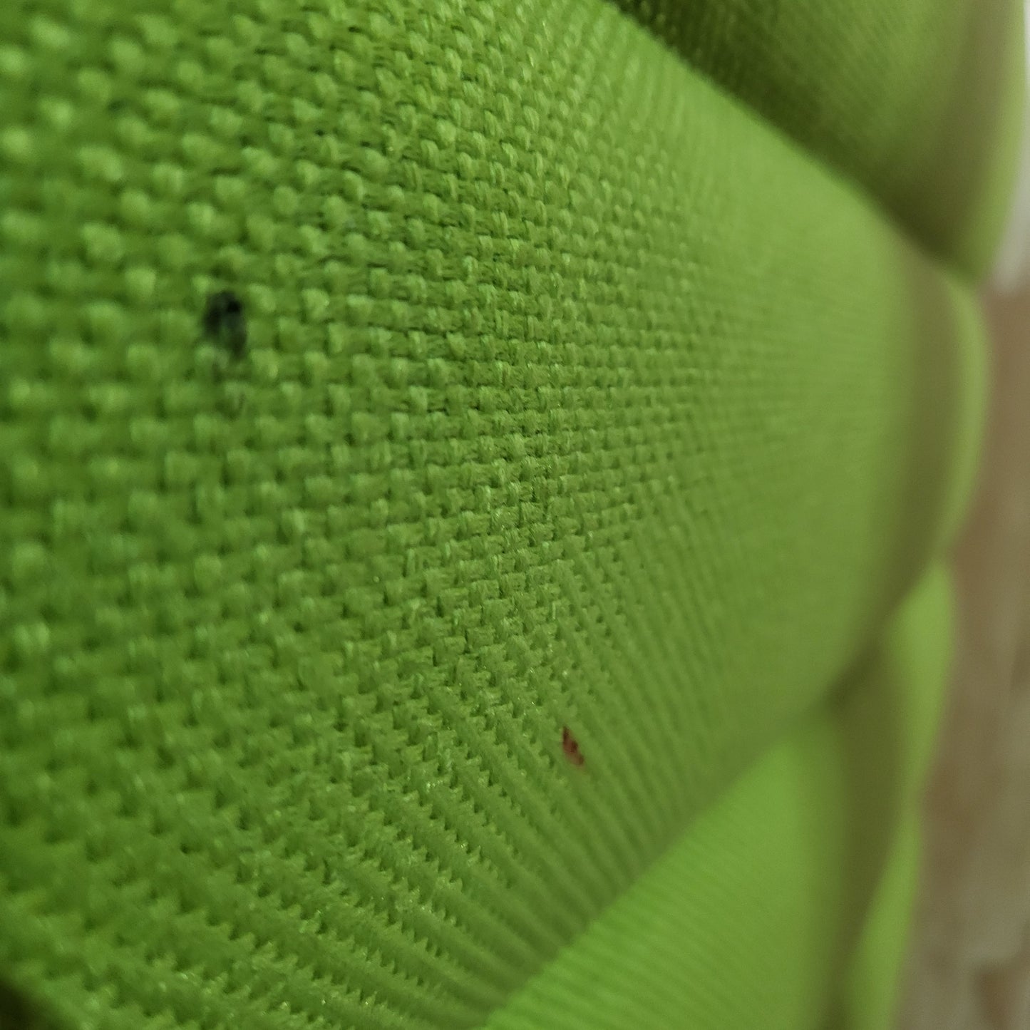 Vitra Alcove Highback Green Couch (Small)