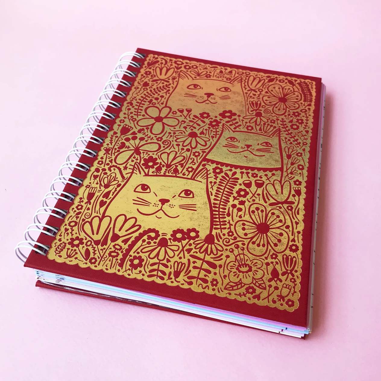 Able and Game Kitty Diary