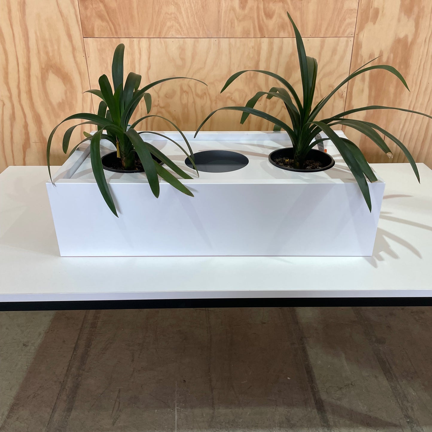 White Planter Box