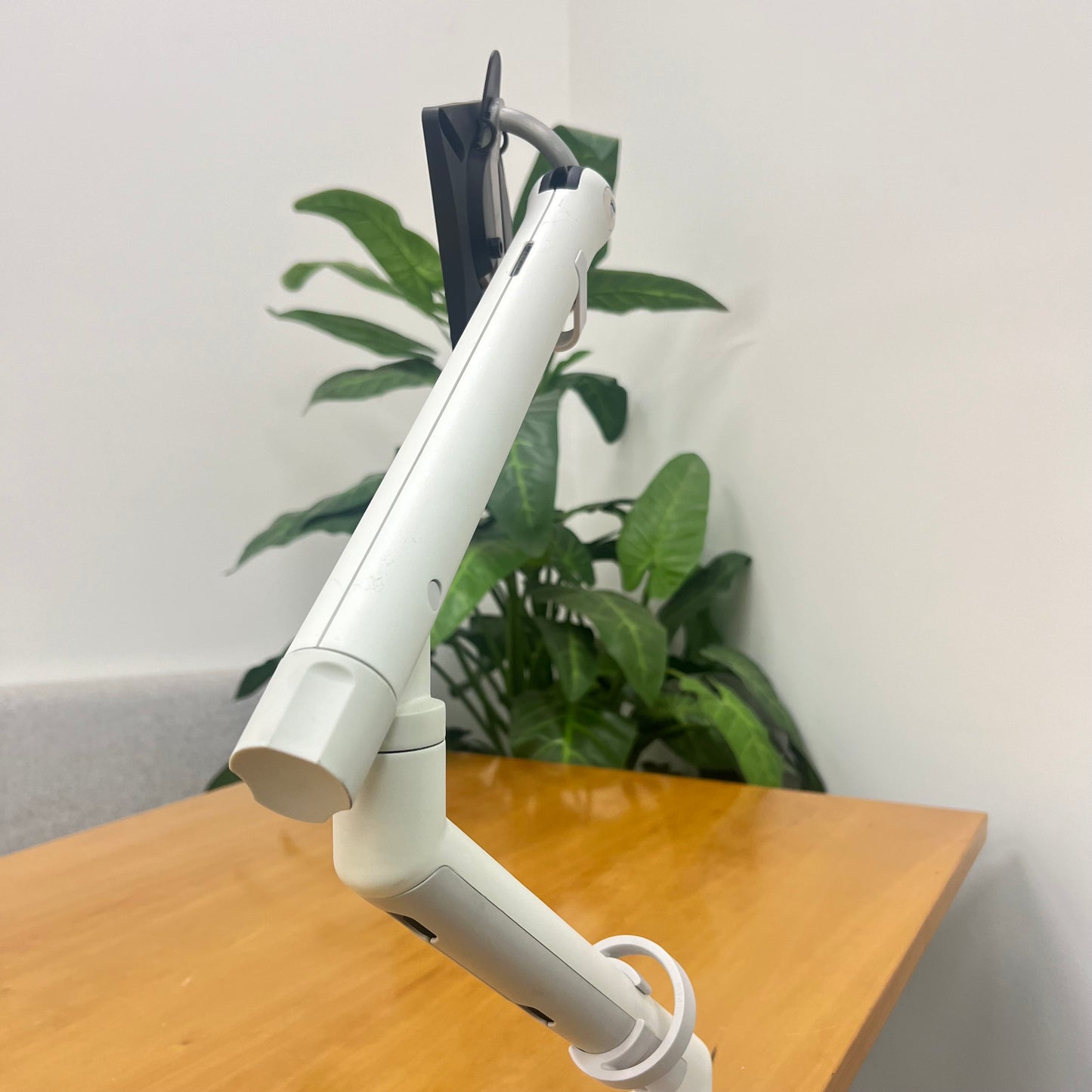 FLO Single Monitor Arm