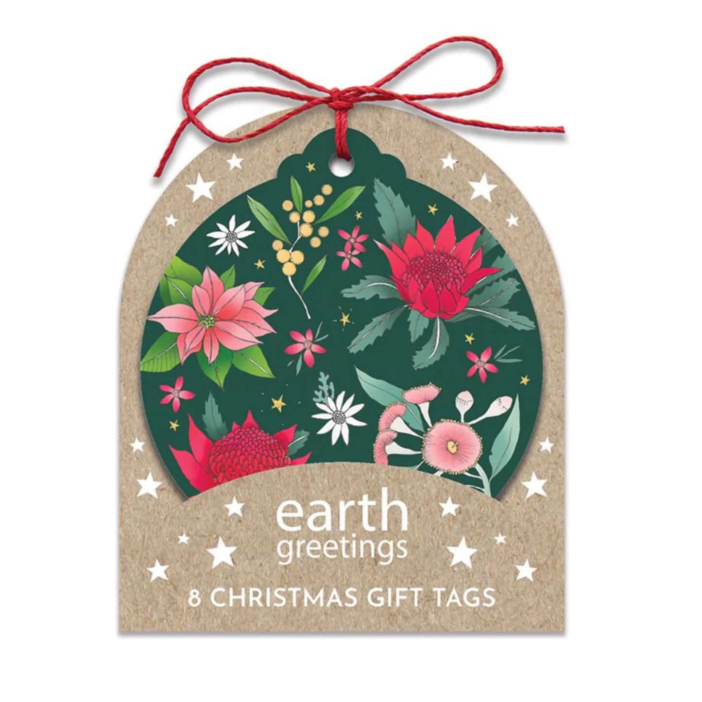 Earth Greetings Christmas Gift Tag (round)