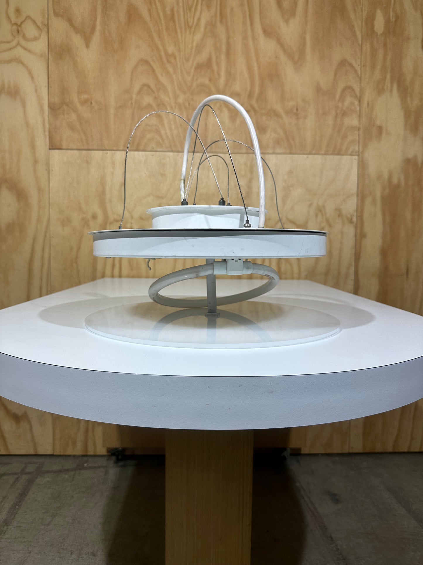 Dean Phillips Circular LIght
