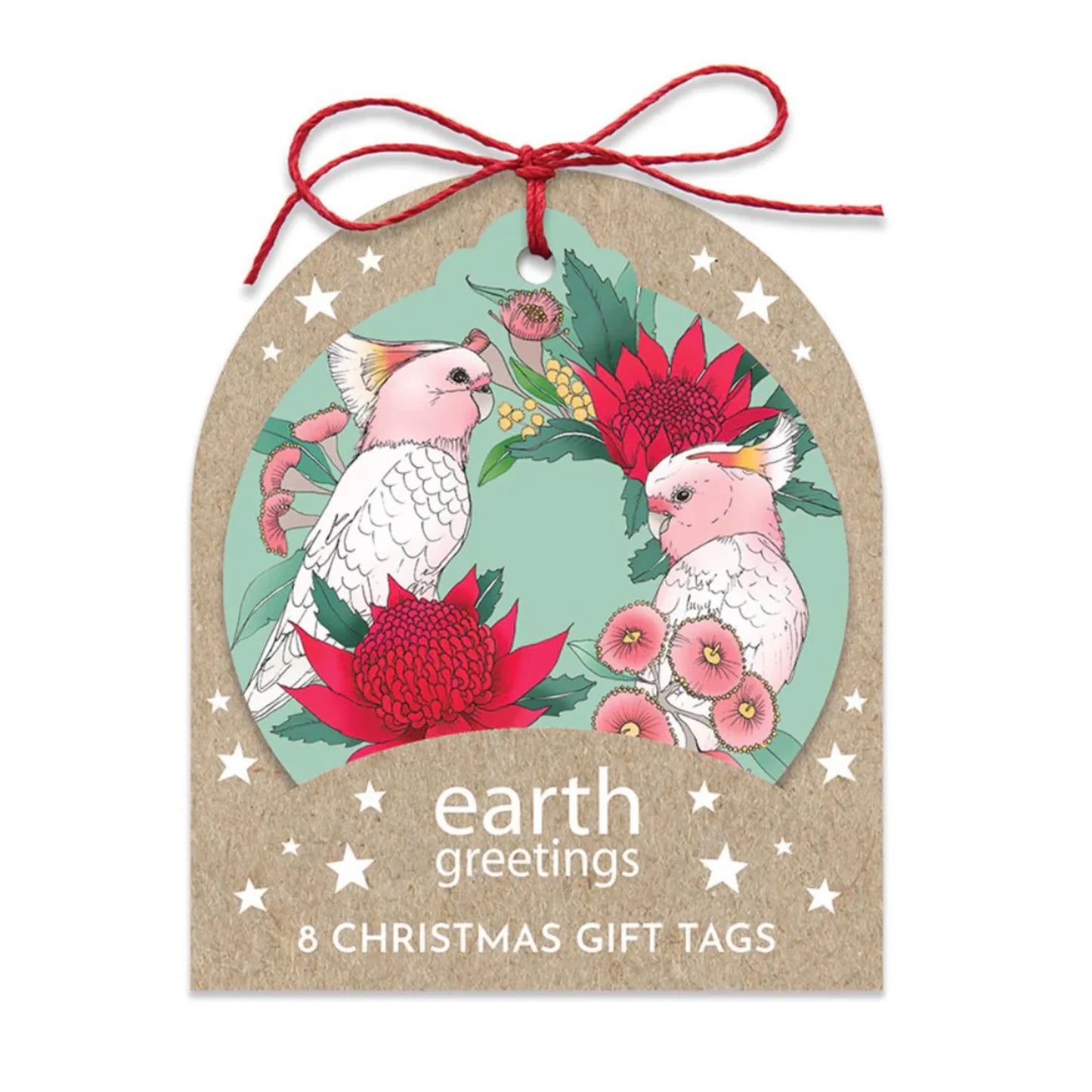 Earth Greetings Christmas Gift Tag (round)