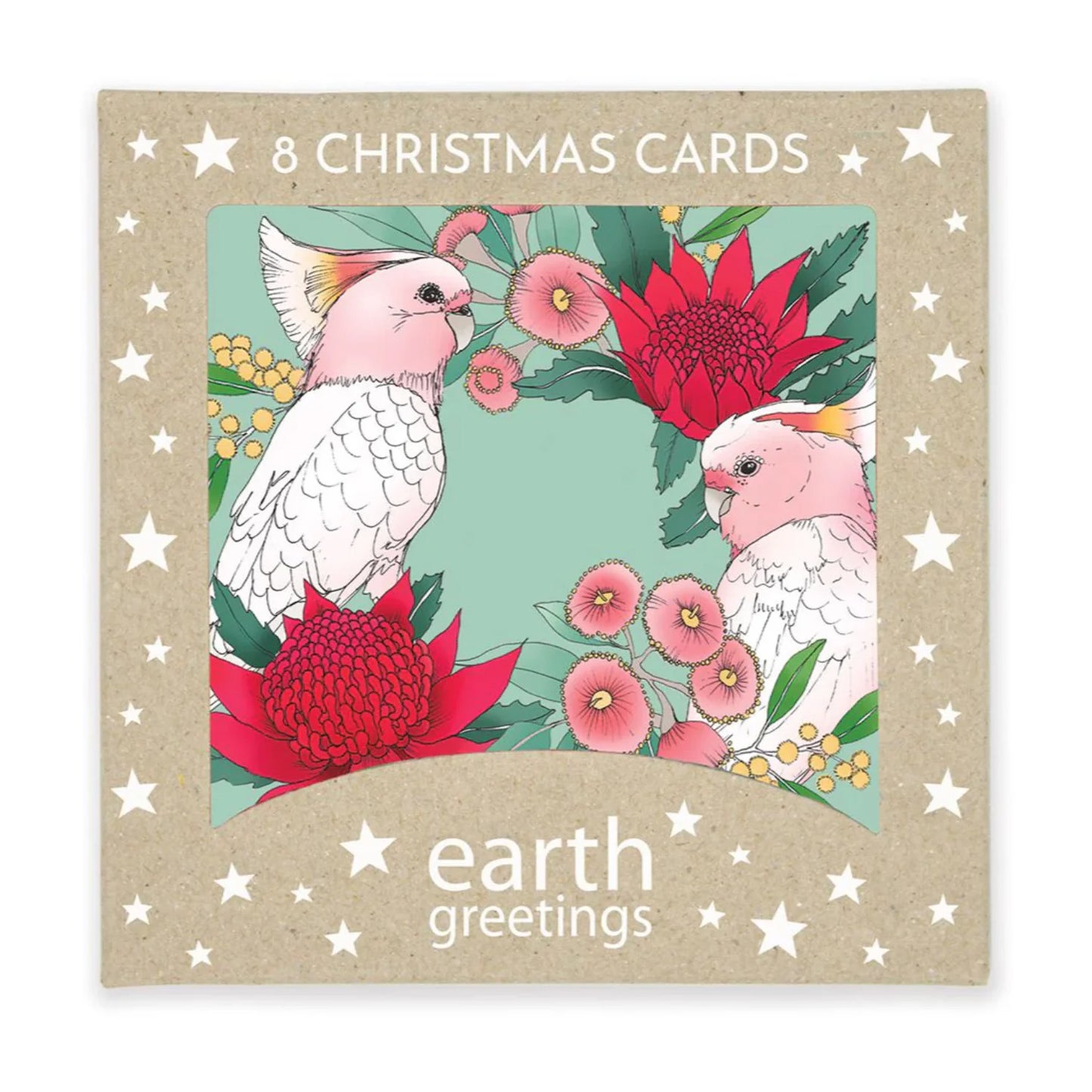 Earth Greetings Christmas Card Pack (Square)