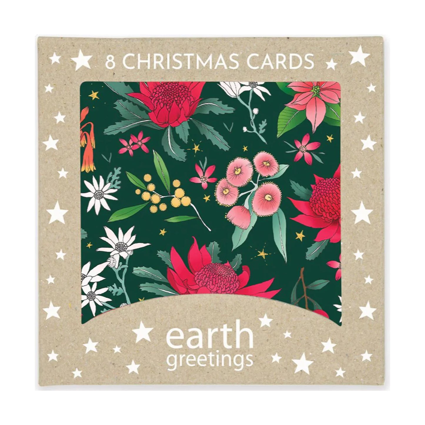 Earth Greetings Christmas Card Pack (Square)