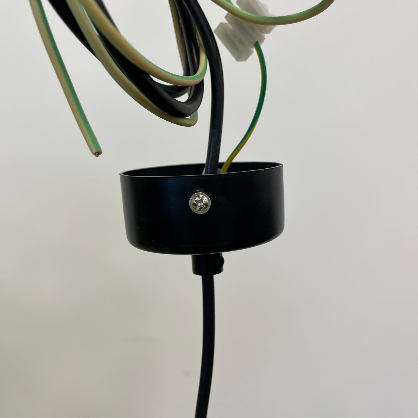 Round Metal Frame Pendant Light in Black