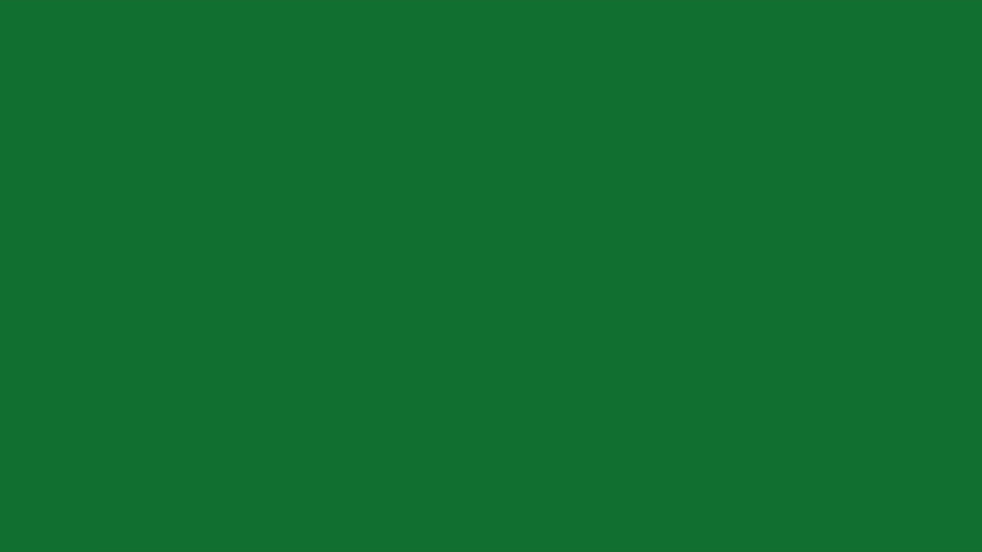 Load video: &lt;p&gt;The pilot project that informed the Circular Capabilities Package was supported by the Victorian Government’s Circular Economy Business Support Fund as part of the Circular Economy Business Innovation Centre (CEBIC).&lt;/p&gt;